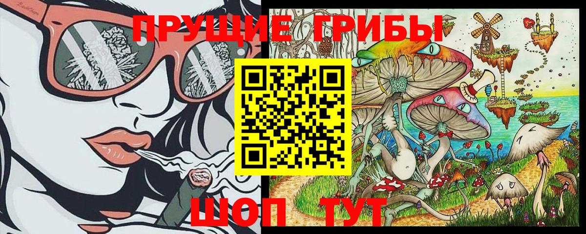 Миллерово  Галлюциногенные грибы MAGIC MUSHROOMS  Вход с VPN 